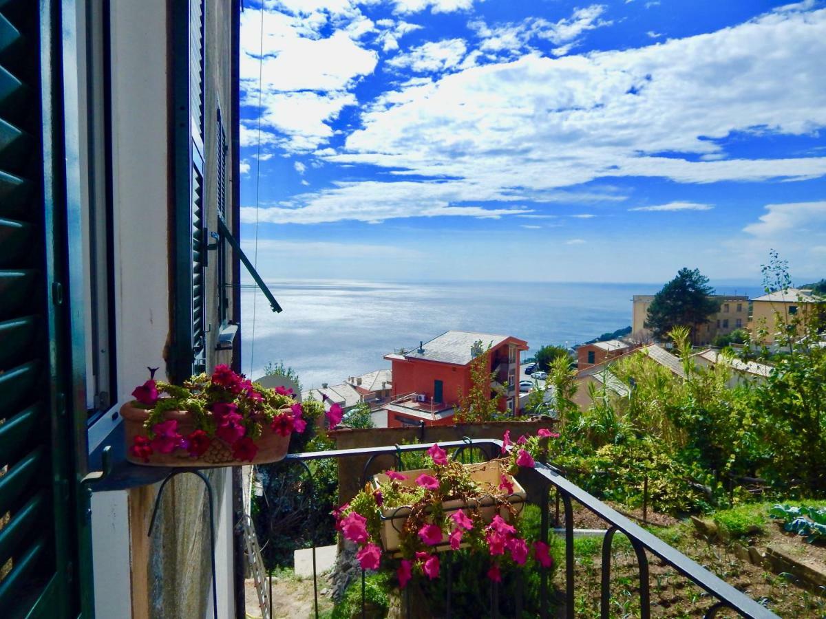 Hotel Le Giuee Janov Exteriér fotografie