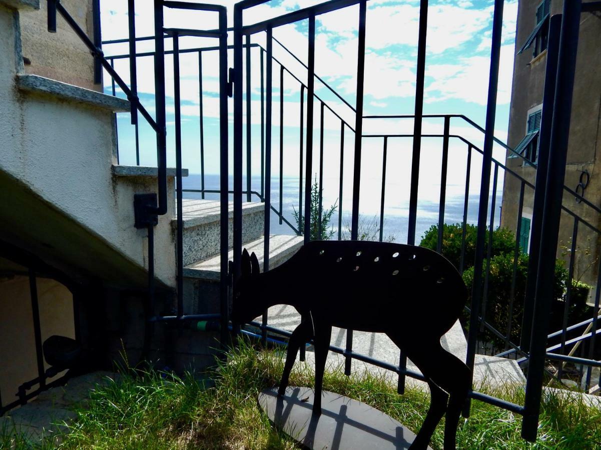Hotel Le Giuee Janov Exteriér fotografie